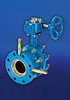 Butterfly Commissioning Valves